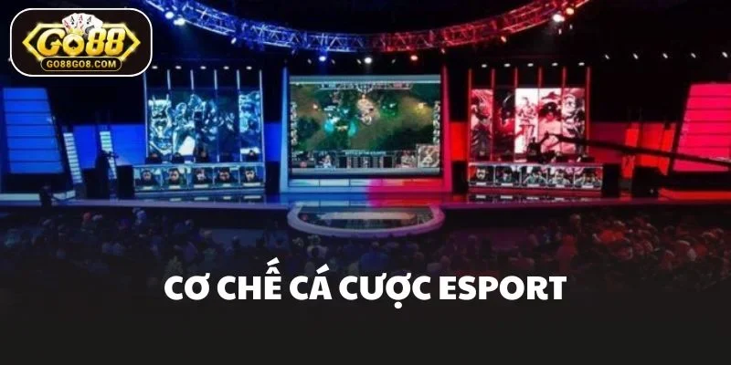 Cơ chế cá cược Esport