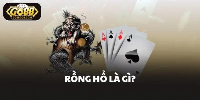 Rồng hổ là gì?